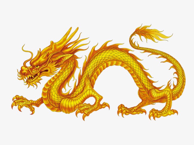 dragon vàng đẹp